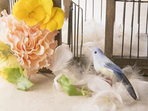 結婚指輪購入が相談できる福岡のお店