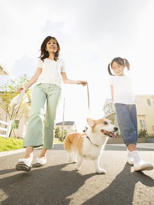 誕生石の婚約指輪が作れる通販サイト