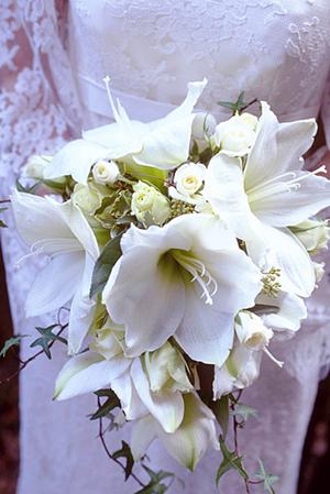 インターネットでこっそり婚活ができます